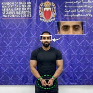 Israel Spy Arrest Bahrain Fact Check