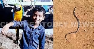 തൃശൂരിൽ പാമ്പുകടിയേറ്റ് എട്ടുവയസ്സുകാരൻ മരിച്ചു; പോസ്റ്റ്മോർട്ടത്തിൽ നിർണായക വെളിപ്പെടുത്തൽ 1 Thrissur Snake Bite Child Death