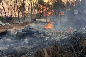 Thrissur Fireworks Accident 2026