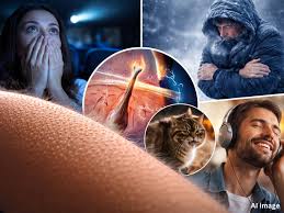 രോമാഞ്ചം: ശരീരത്തിന്റെ സ്വാഭാവിക പ്രതികരണം – ശാസ്ത്രം പറയുന്നത് 1 Goosebumps Science