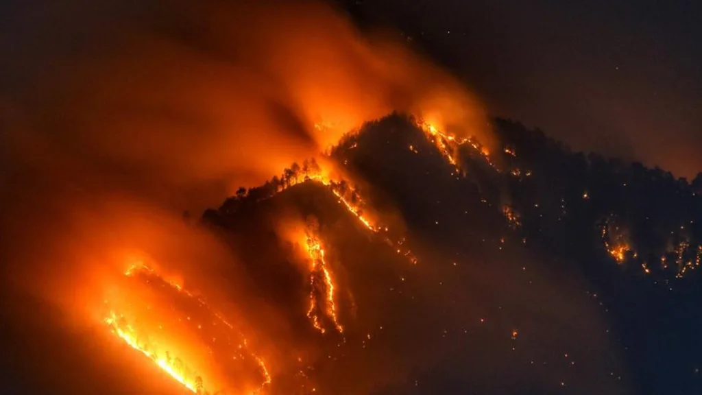 Kanthalloor Forest Fire