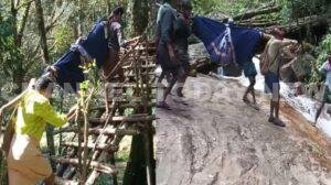 Edamalakkudy Healthcare Crisis: 7 കിലോമീറ്റർ രോഗിയെ ചുമന്ന് യാത്ര; റോഡില്ലാതെ ആദിവാസി കുടുംബങ്ങളുടെ ദുരിതം തുടരുന്നു Idamalakkudy Healthcare Crisis