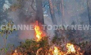 Kanthalloor Forest Fire