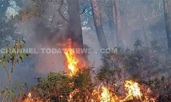 Kanthalloor Forest Fire