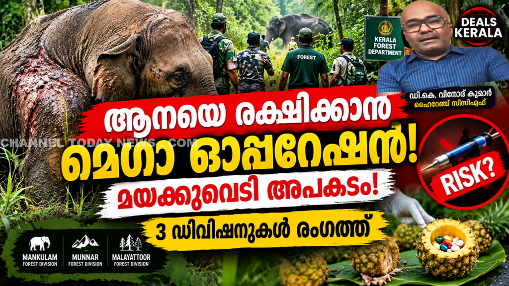 ആനക്കുളത്ത് പരിക്കേറ്റ കാട്ടാനയ്ക്ക് അടിയന്തര ചികിത്സ: മയക്കുവെടി ജീവന് ആപത്താകുമെന്ന് വിലയിരുത്തൽ; പഴങ്ങളിൽ മരുന്ന് നൽകാൻ മൂന്ന് ഡിവിഷനുകളുടെ സംയുക്ത ദൗത്യം; വിശദീകരണവുമായി ഹൈറേഞ്ച് സർക്കിൾ സിസിഎഫ് 1 Anakulam Injured Wild Elephant Rescue