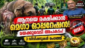 Anakulam Injured Wild Elephant Rescue