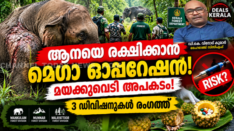 Anakulam Injured Wild Elephant Rescue