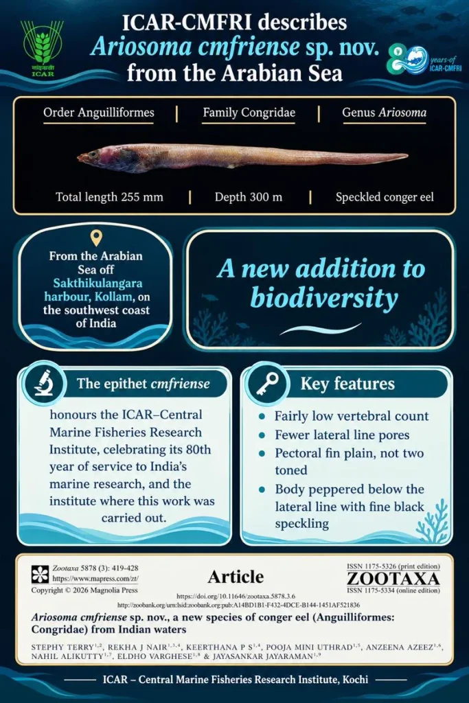 CMFRI Discovers New Eel Species Ariosoma cmfriense: അറബിക്കടലിൽ നിന്ന് പുതിയ ഈൽ മത്സ്യം; സിഎംഎഫ്ആർഐയുടെ പേരിൽ നാമകരണം; കൊല്ലം തീരത്തുനിന്ന് കണ്ടെത്തി | സെപ്റ്റംബർ 16, 2026 - Channel Today News 3 CMFRI Discovers New Eel Species Ariosoma cmfriense