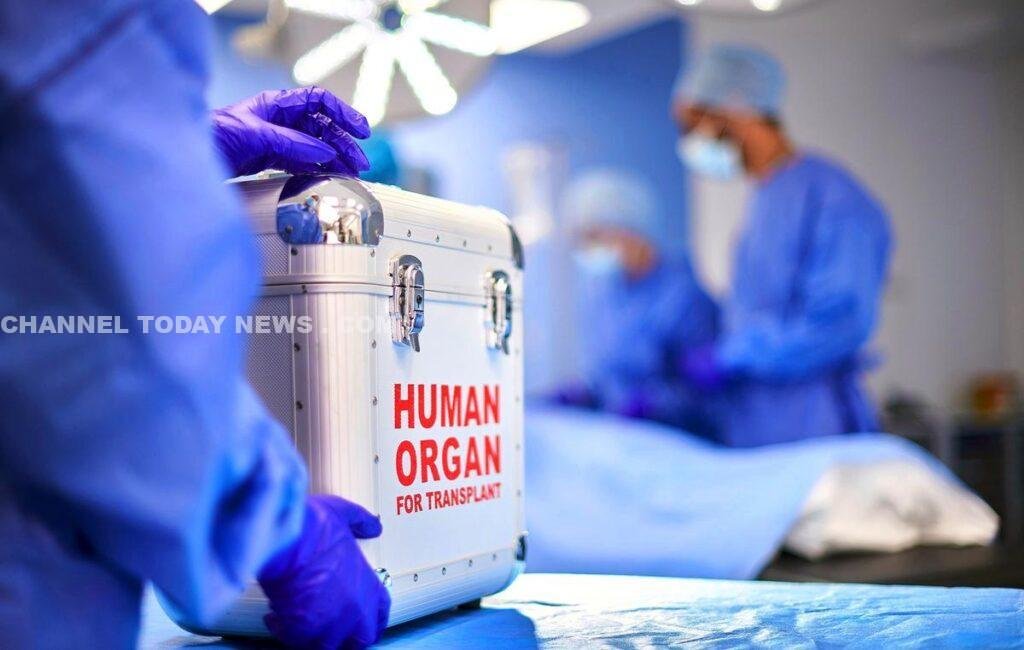 Kerala High Court Organ Donor Criminal Antecedents Ruling: അവയവദാതാവിന്റെ ക്രിമിനൽ പശ്ചാത്തലം അവയവദാനത്തിന് തടസ്സമല്ല; ഹൈക്കോടതി | സെപ്റ്റംബർ 16, 2026 - Channel Today News 1 Kerala High Court Organ Donor Criminal Antecedents Ruling