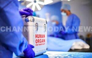 Kerala High Court Organ Donor Criminal Antecedents Ruling: അവയവദാതാവിന്റെ ക്രിമിനൽ പശ്ചാത്തലം അവയവദാനത്തിന് തടസ്സമല്ല; ഹൈക്കോടതി | സെപ്റ്റംബർ 16, 2026 - Channel Today News Kerala High Court Organ Donor Criminal Antecedents Ruling