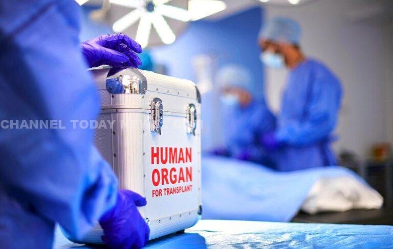 Kerala High Court Organ Donor Criminal Antecedents Ruling