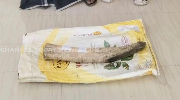 Kerala Ivory Smuggling Case