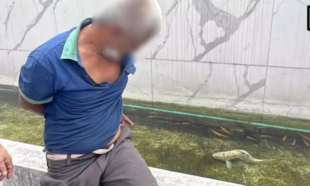 Man Arrested For Abusing Koi Fish