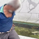 Man Arrested For Abusing Koi Fish