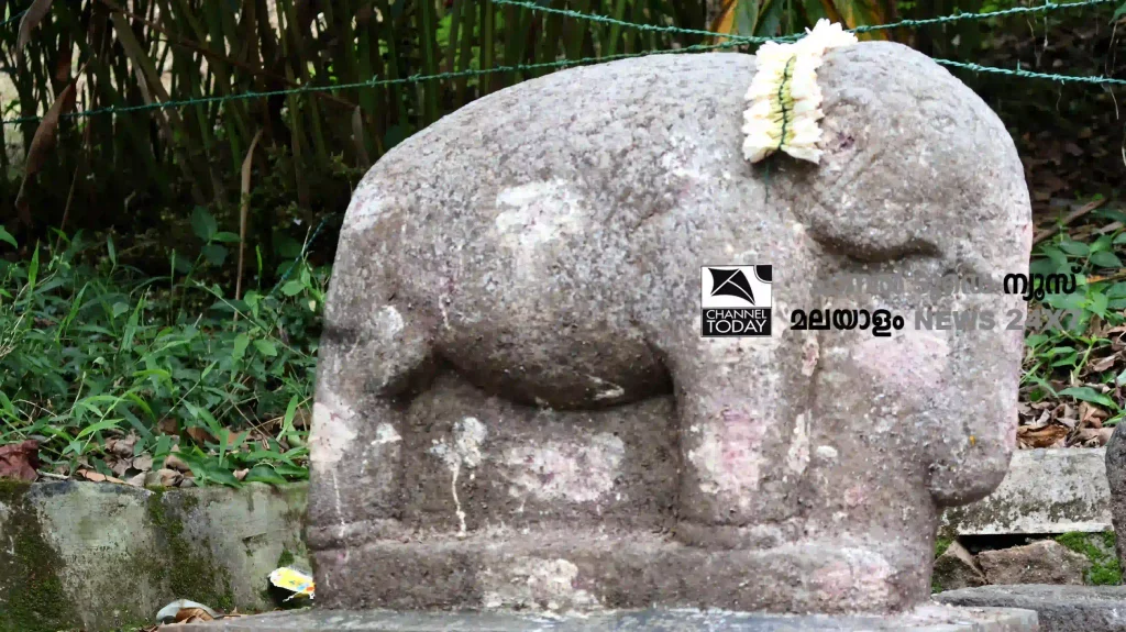 Anayirankal Elephant Temple : Stone idol of wild elephant deity worshipped by plantation workers in Idukki