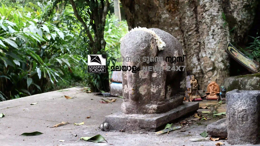 Anayirankal Elephant Temple : Sacred grove and banyan tree platform of wild elephant shrine at Sankaranpandian Mettu