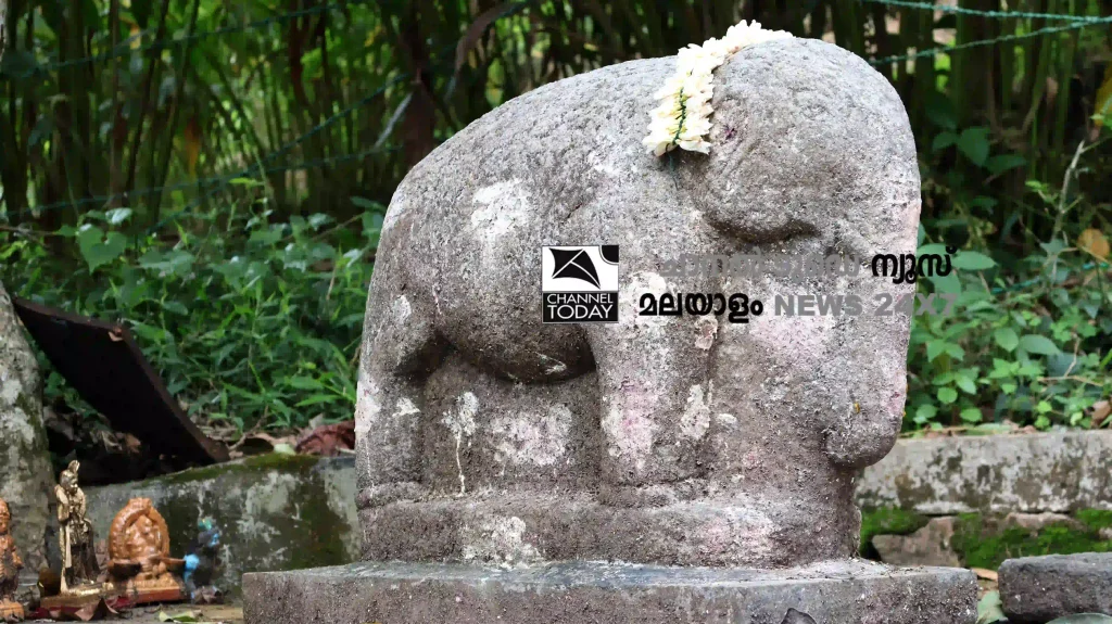 Anayirankal Elephant Temple : Detailed side angle of wild elephant stone sculpture Sankaranpandian Mettu