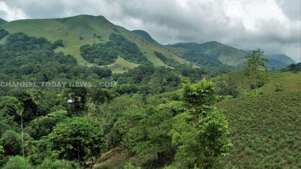 Kerala Forest Cover Data Discrepancy
