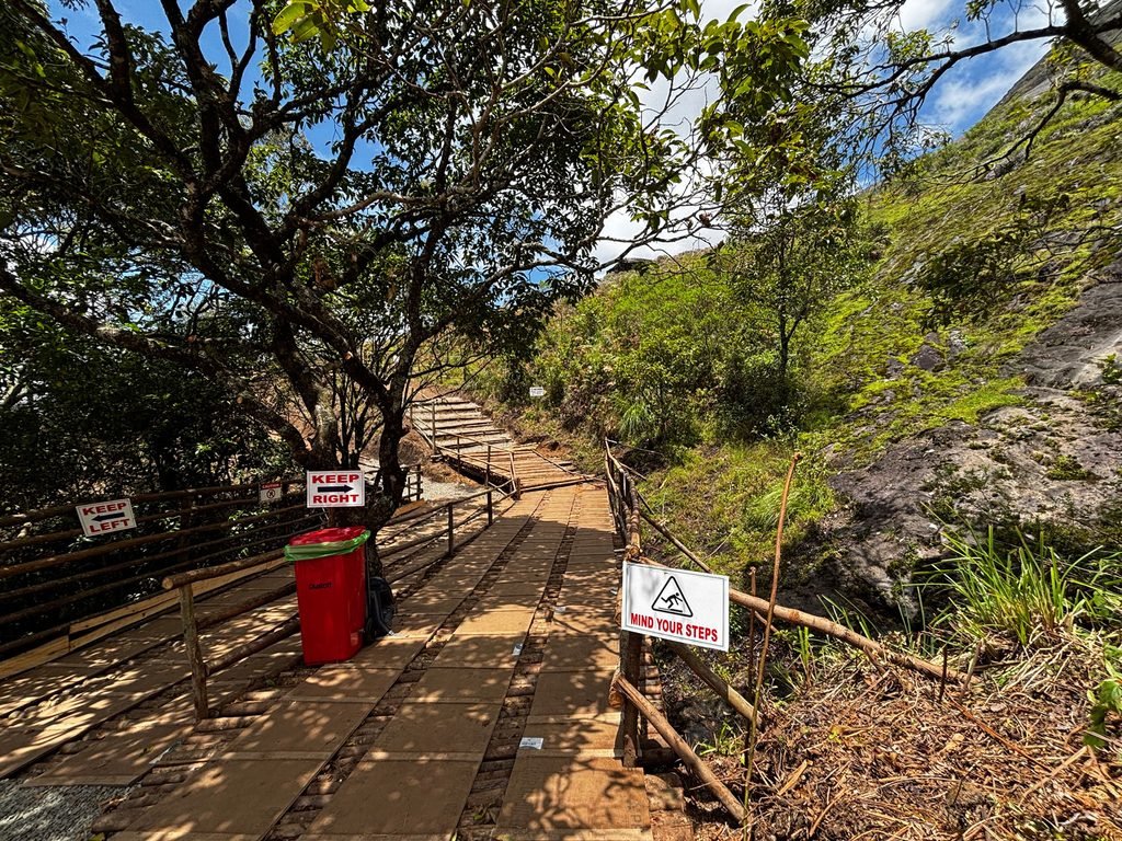 Visitors on the monitored high-altitude ridge where forest squads maintain vigilance against plant vandalism. Photo: Shanavas Karimattam.