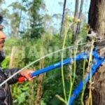 Chinnakanal Elephant Corridor: ചിന്നക്കനാലിൽ കൈയേറ്റങ്ങൾക്കെതിരെ വനംവകുപ്പിന്റെ വൻ ഓപ്പറേഷൻ; ആനത്താരകൾ തിരിച്ചുപിടിക്കുന്നു | Channel Today News