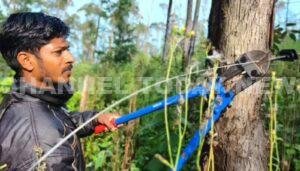 Chinnakanal Elephant Corridor: ചിന്നക്കനാലിൽ കൈയേറ്റങ്ങൾക്കെതിരെ വനംവകുപ്പിന്റെ വൻ ഓപ്പറേഷൻ; ആനത്താരകൾ തിരിച്ചുപിടിക്കുന്നു | Channel Today News Chinnakanal Elephant Corridor