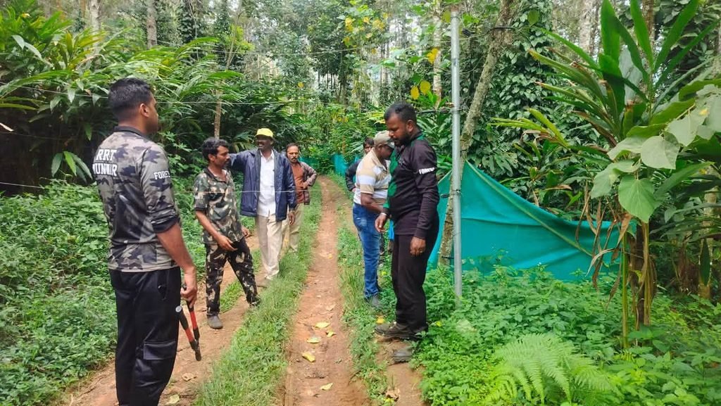 Elephant Corridor Restoration Chinnakanal