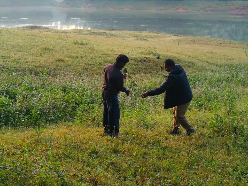 Chinnakanal Elephant Corridor