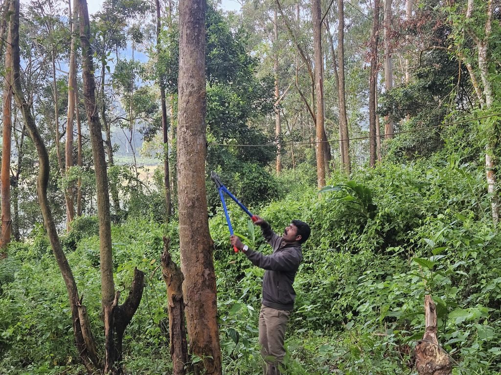 Chinnakanal Elephant Corridor: ചിന്നക്കനാലിൽ കൈയേറ്റങ്ങൾക്കെതിരെ വനംവകുപ്പിന്റെ വൻ ഓപ്പറേഷൻ; ആനത്താരകൾ തിരിച്ചുപിടിക്കുന്നു | Channel Today News 8 Chinnakanal Elephant Corridor